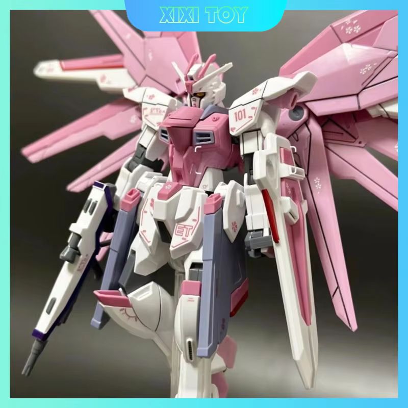 JMS HG 1/144 ZY-06 Freedom Ass - Bandai Gundam Rg ulasan dan harga
