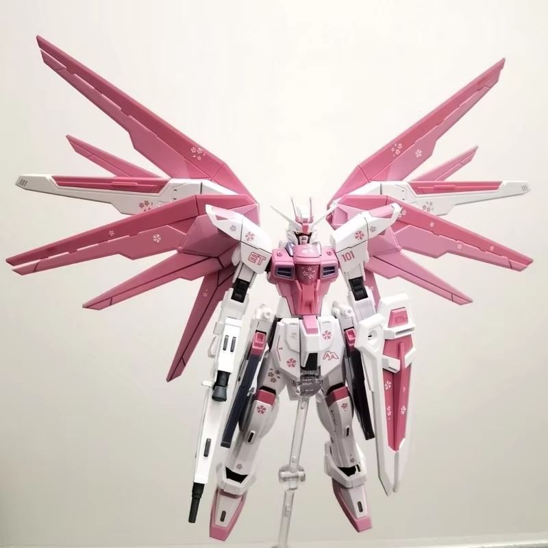 JMS HG 1/144 ZY-06 Freedom Ass - Bandai Gundam Rg ulasan dan harga